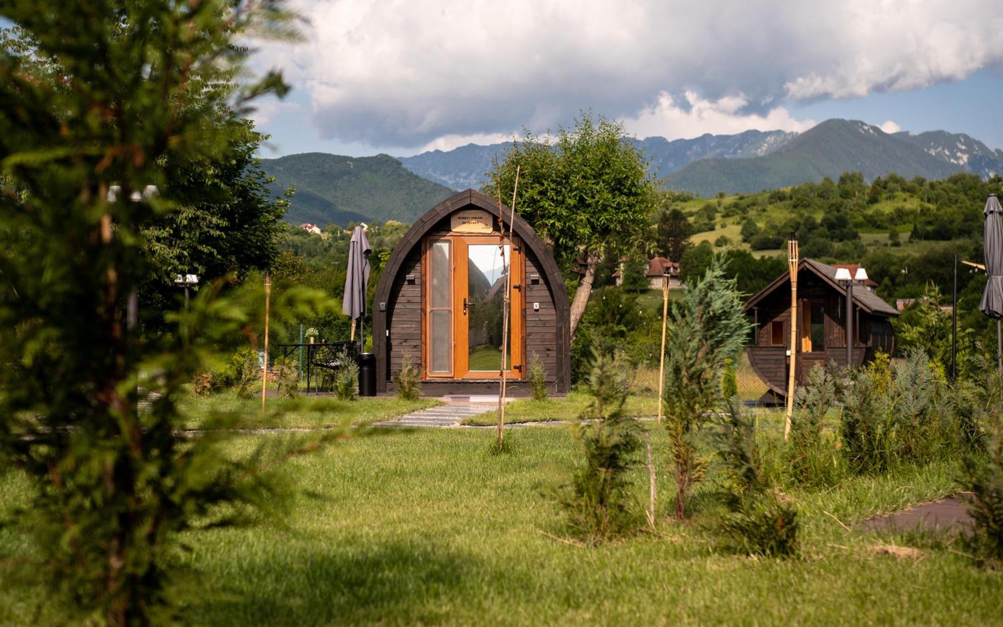 Glamp In Style Pods Resort Bran  Exteriör bild